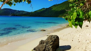 BVI large