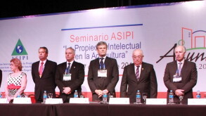 ASIPI stage