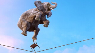 elephant onthread