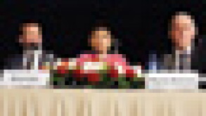 panel-puff.jpg
