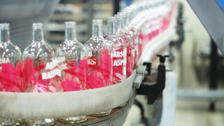 absolut large