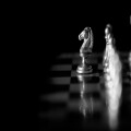 Pieces on chess board for playing game and strategy