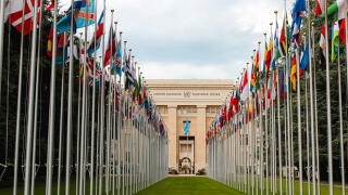 UN - OECD 2.jpg