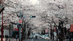 kyoto2.jpg
