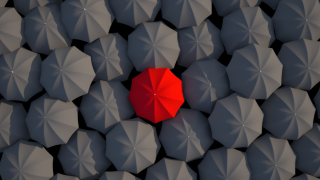 umbrella