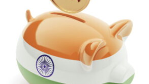 pig.jpg