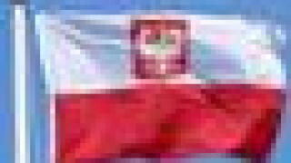 apolish-flag27.jpg