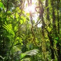 Judicial rulings add to the complexity of Brazil's indirect tax system