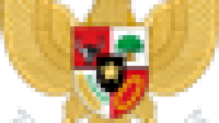 indocoat50.png