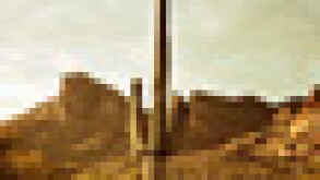 cover-puff.jpg