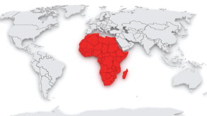 africa.jpg