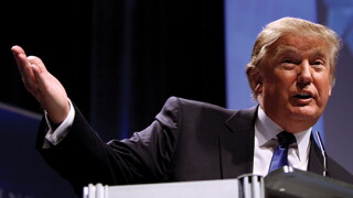 donald.jpg