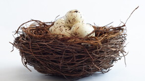 eggs.jpg