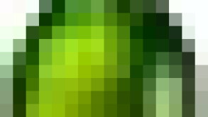 schtop-1small.jpg
