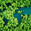 Rainforest lakes in the shape of world continents.