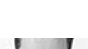 gentdavid.gif