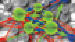 network-puff.jpg