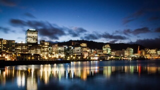 NZ large