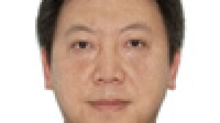 yang.jpg