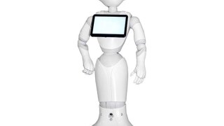 automating-tp.jpg