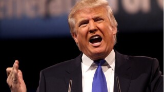 donald large
