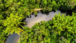 Aerial View of Amazon Rainforest, South America