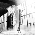 angel-630.jpg