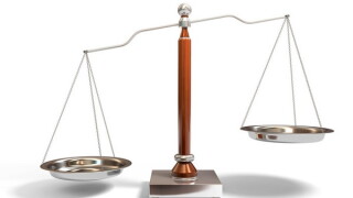 scales large