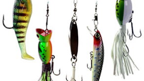 fish.jpg