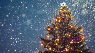 Illuminated christmas tree at night with falling snow and copy s