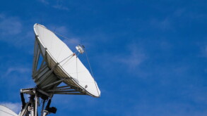 dish.jpg