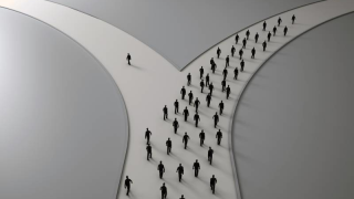 pathways 