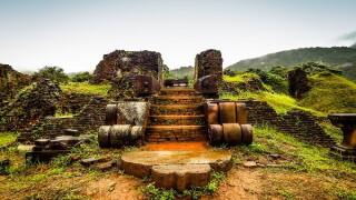 Vietnam large