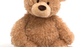 teddy.jpg