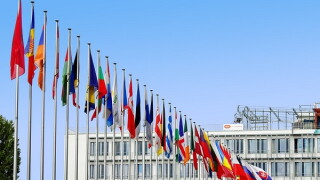 flags large