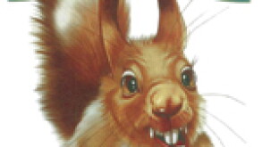 squirel.jpg