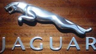jaguar-may06.jpg