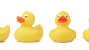 ducks.jpg